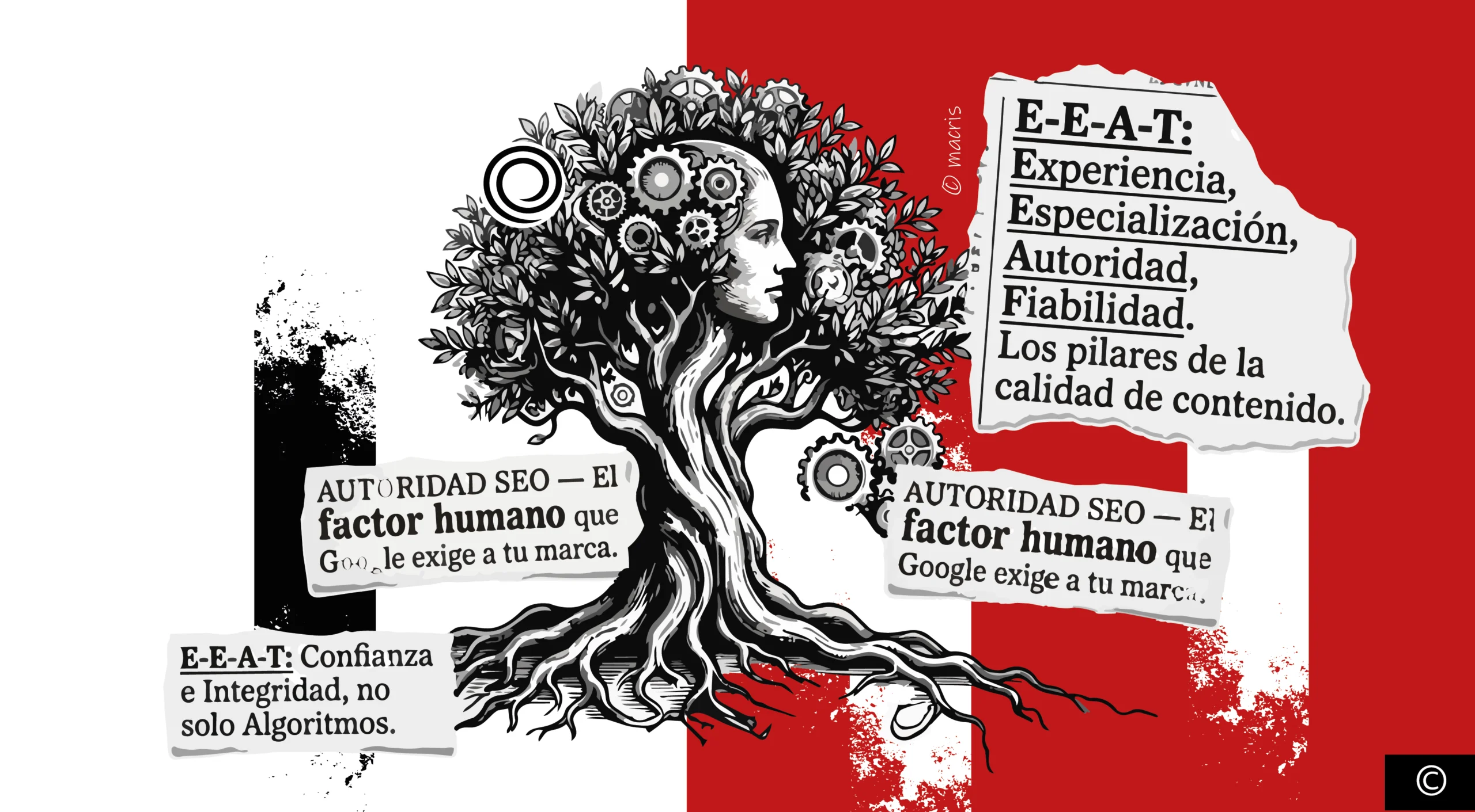 ¿Qué es el E-E-A-T? Autoridad SEO – El factor humano que Google exige a tu marca